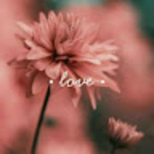 Meet your Posher, Beatriz estefania